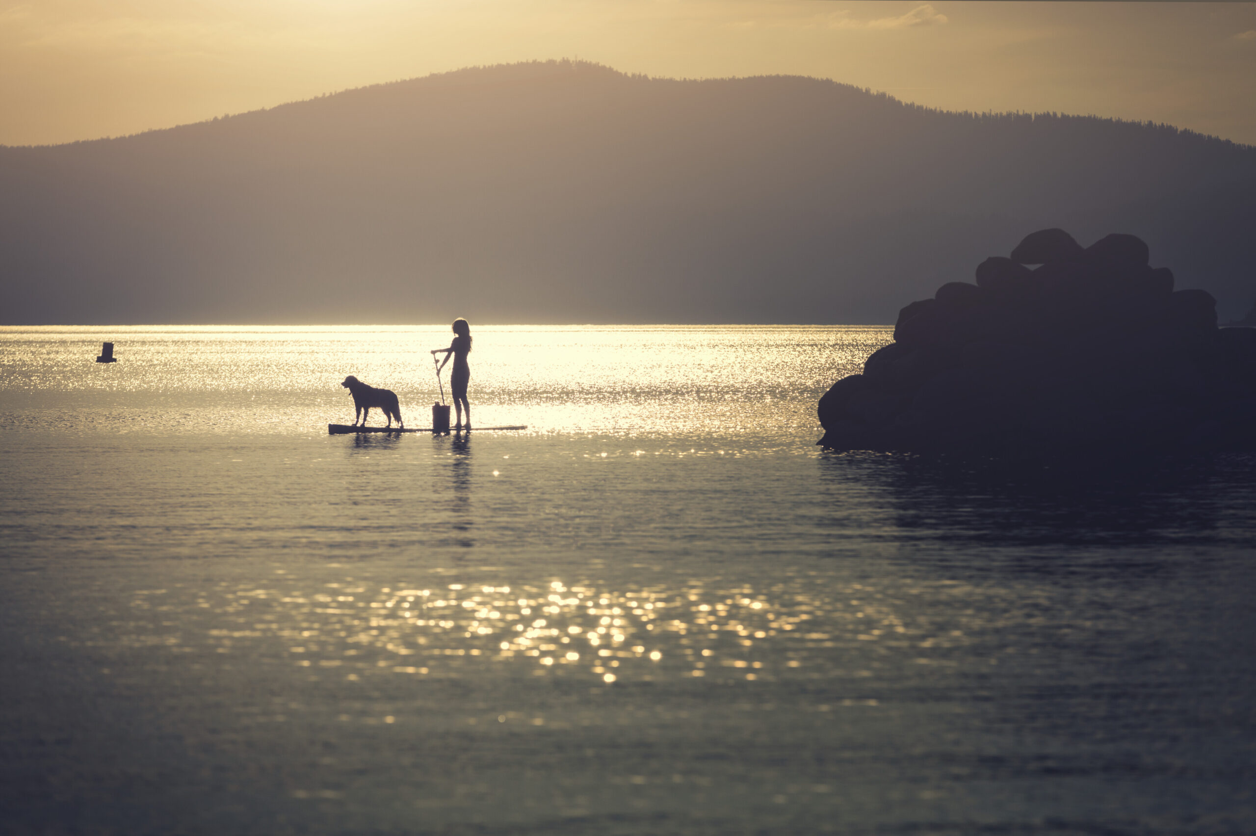 Description of image