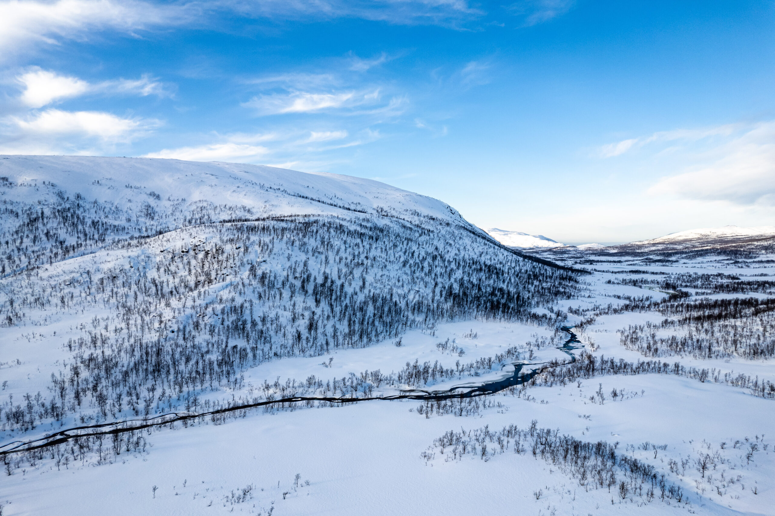 Description of image