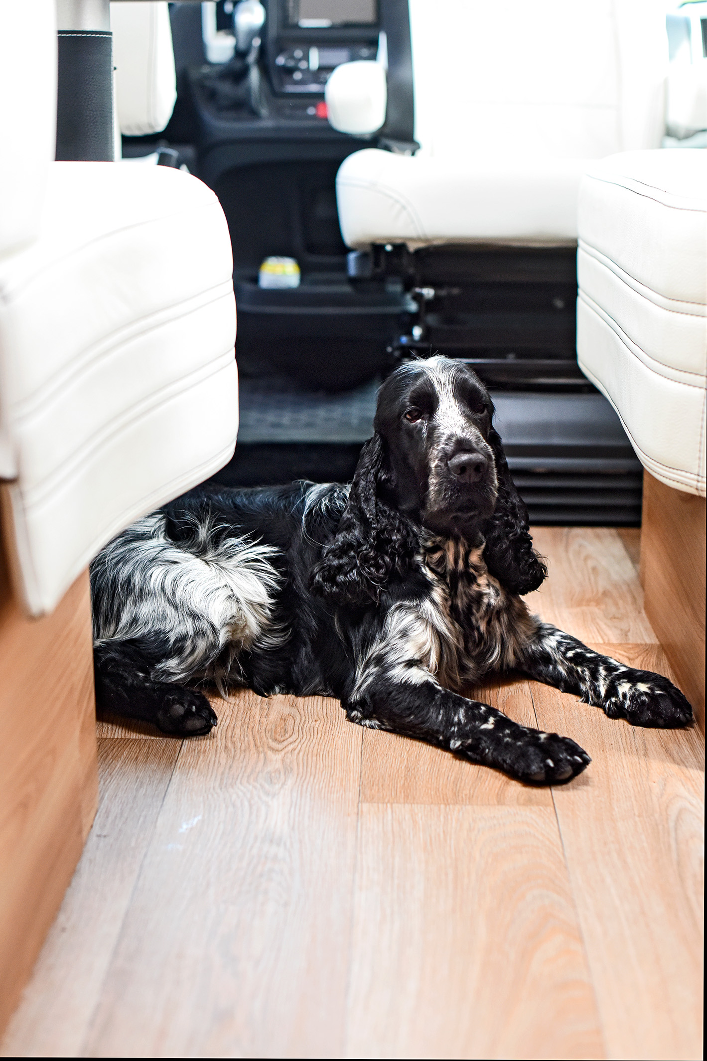 Description of image